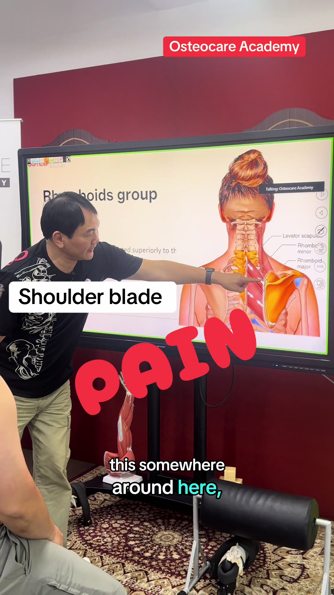 @Osteocare Bone Setting