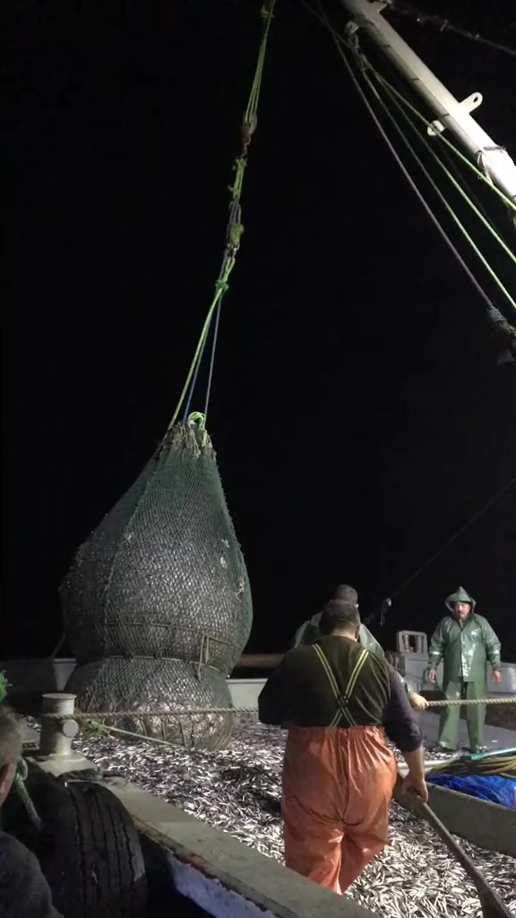 @🛳️hàmìdø⚓⚡Ræysë🐬🏴☠️