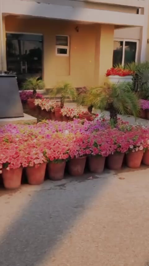 @Raja_zia_1214
