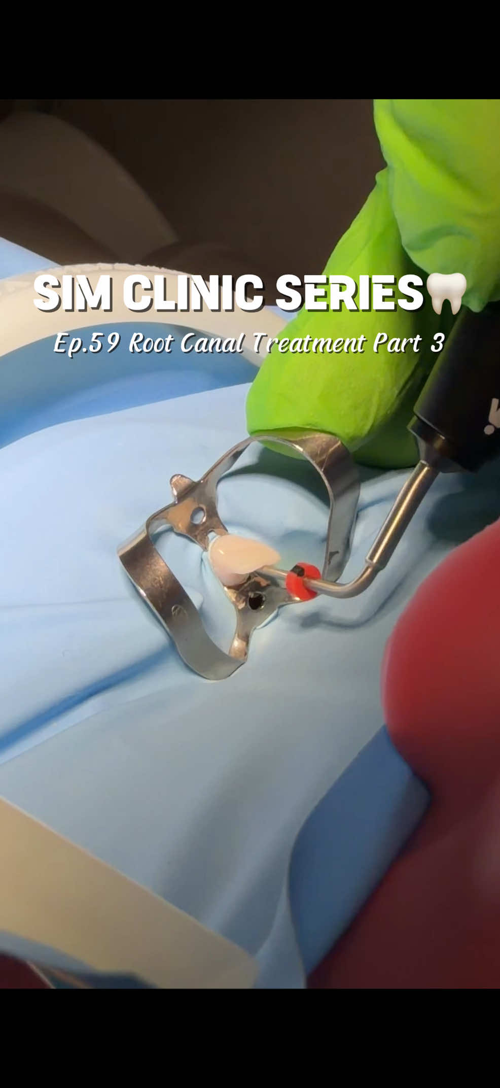 @Norm 🦷 Dental Student