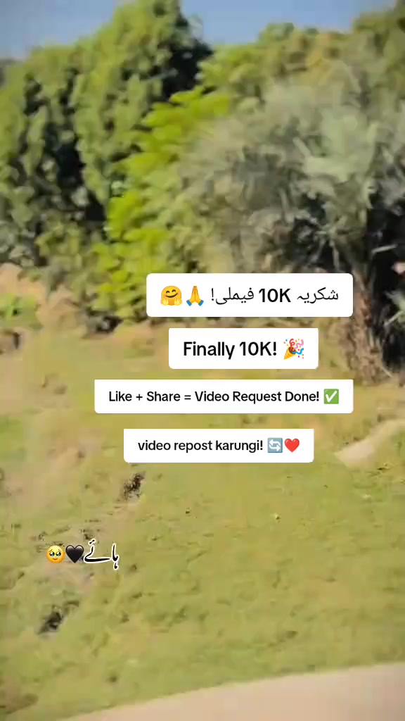 @Pure Intentions🥹❤️&zwj;🩹