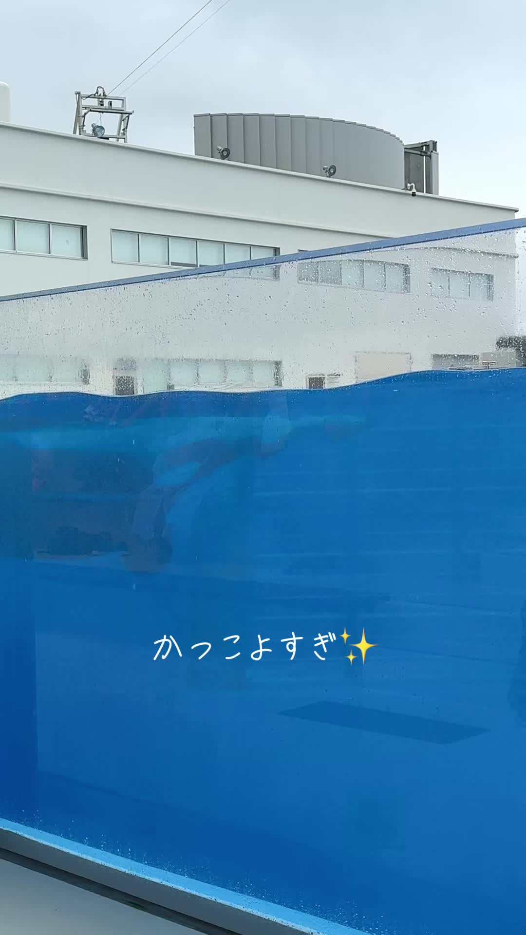@LinLinco22