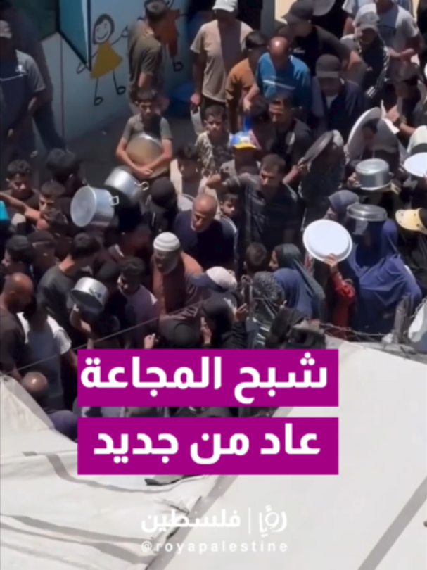 @Royapalestine رؤيا فلسطين