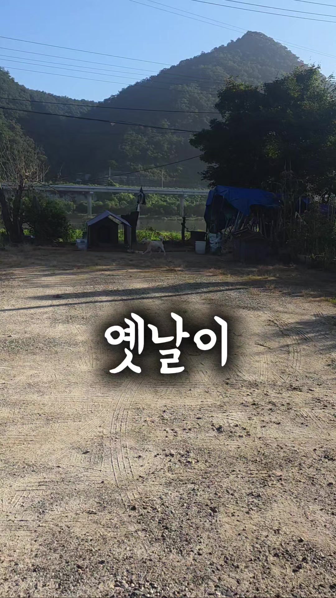 @하필유필
