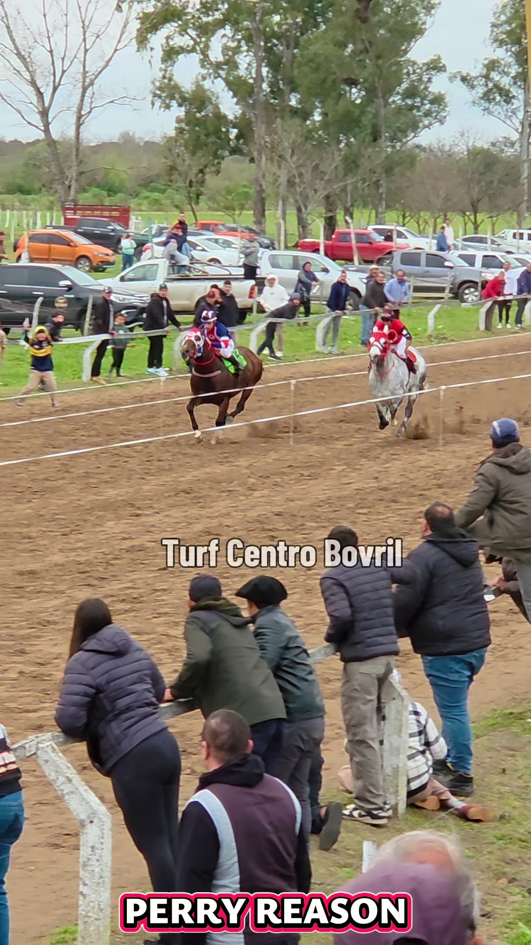 @TURF CENTRO BOVRIL