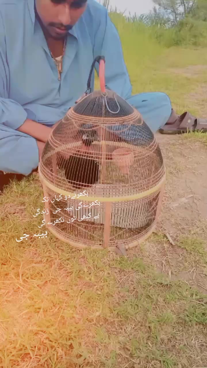 @بیبہ110🤕