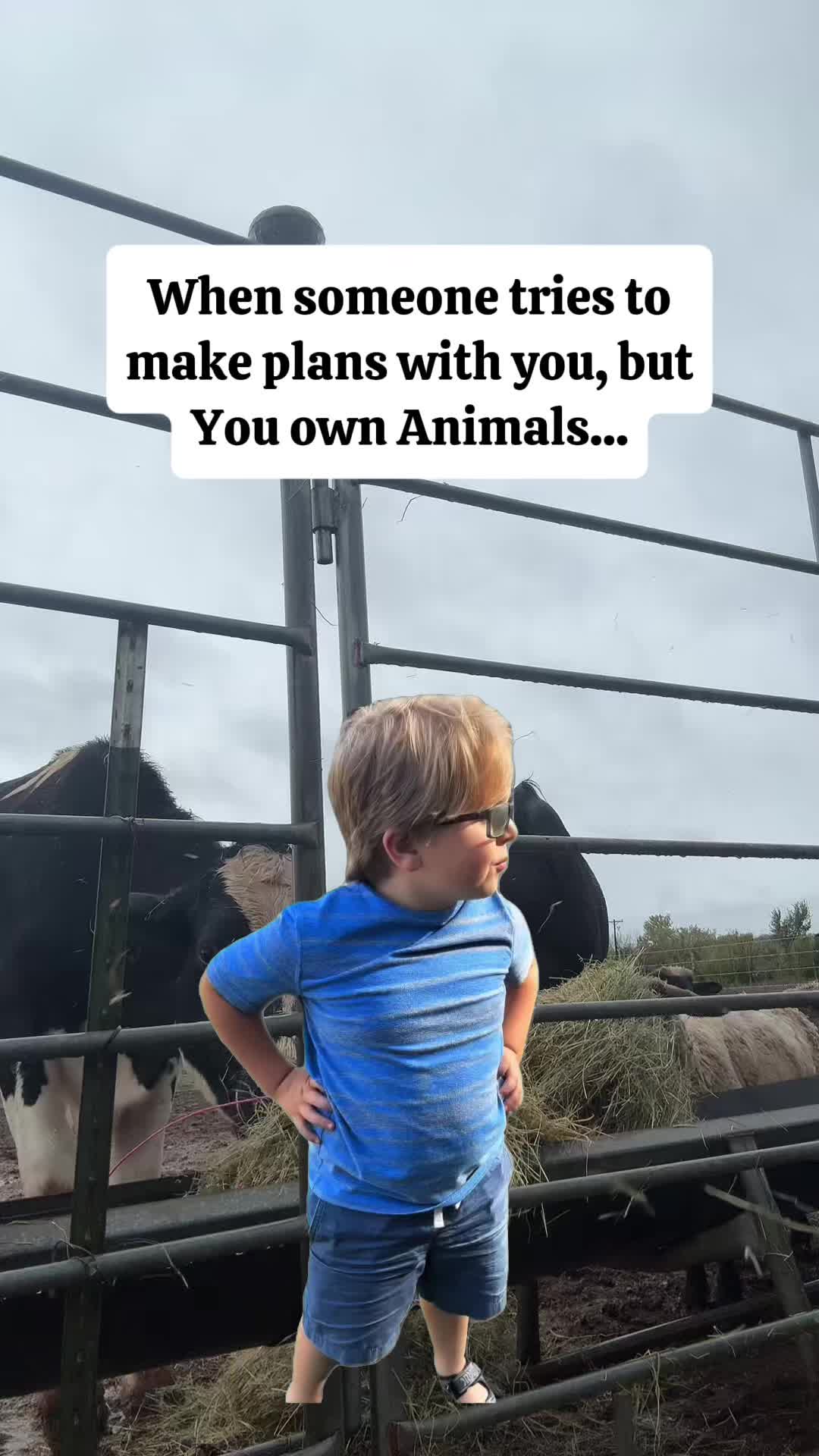 @Billy The Bad Ass Horse