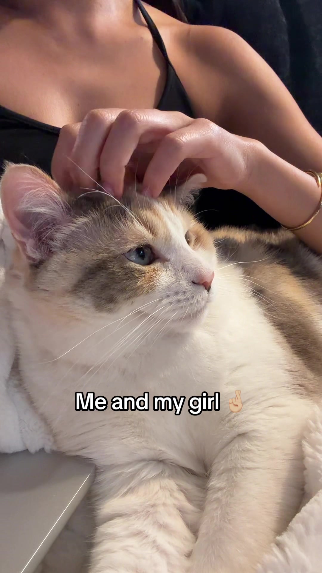 @Panko Cat
