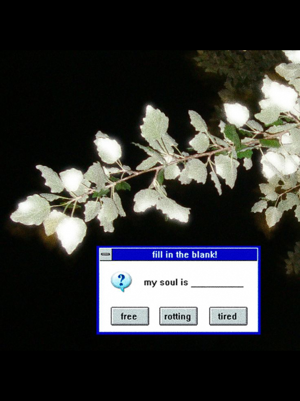 @👤