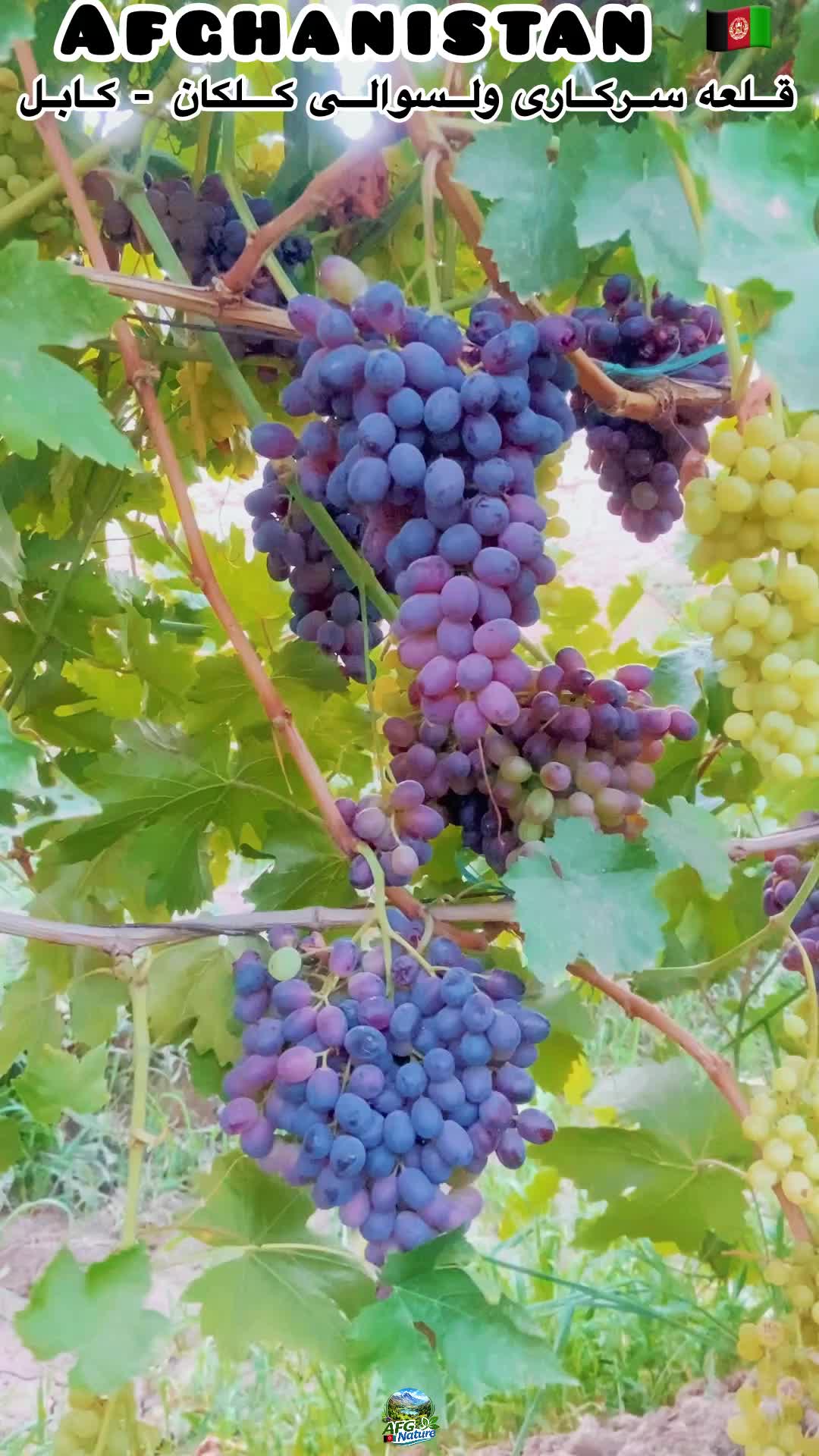 @Afghanistan Nature 🇦🇫