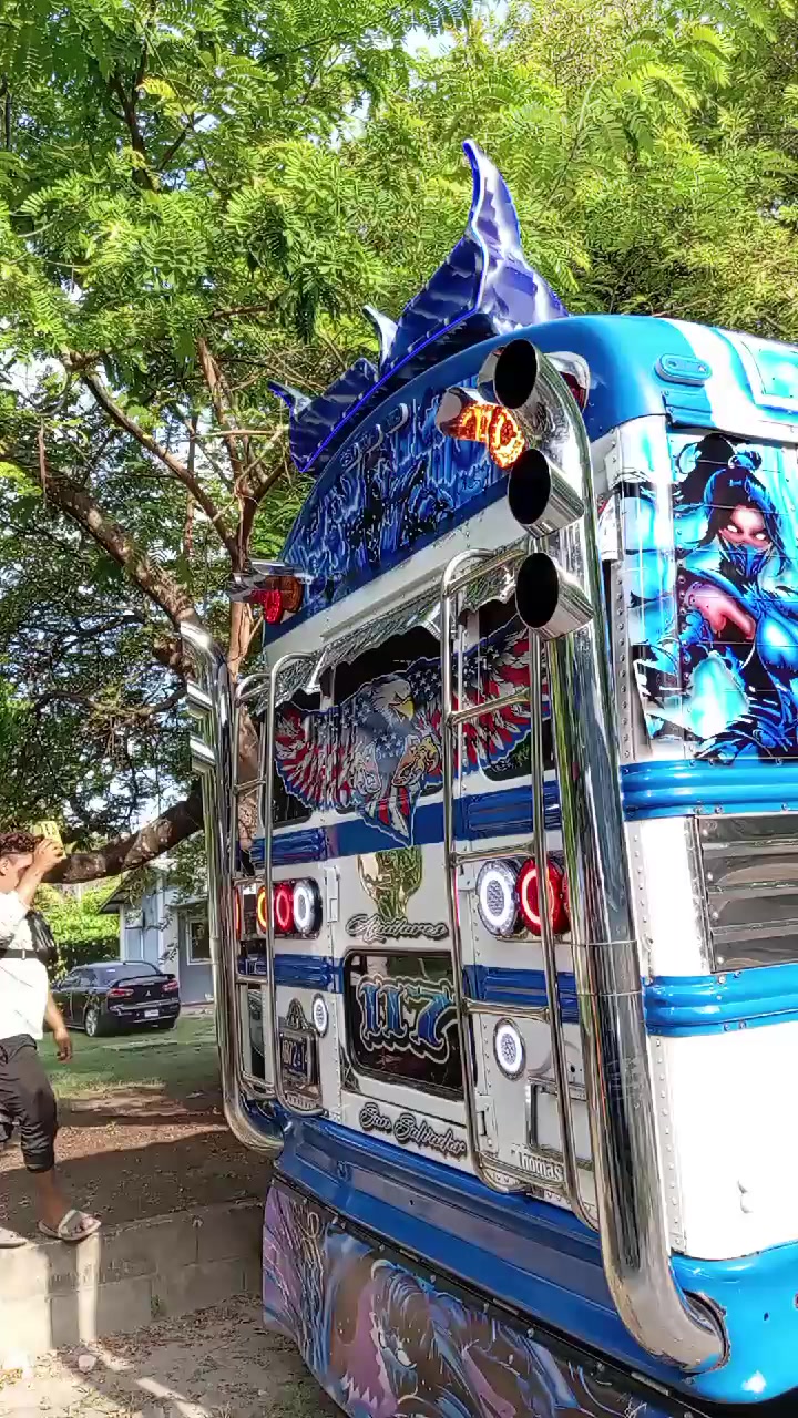 @buses elegantes 503
