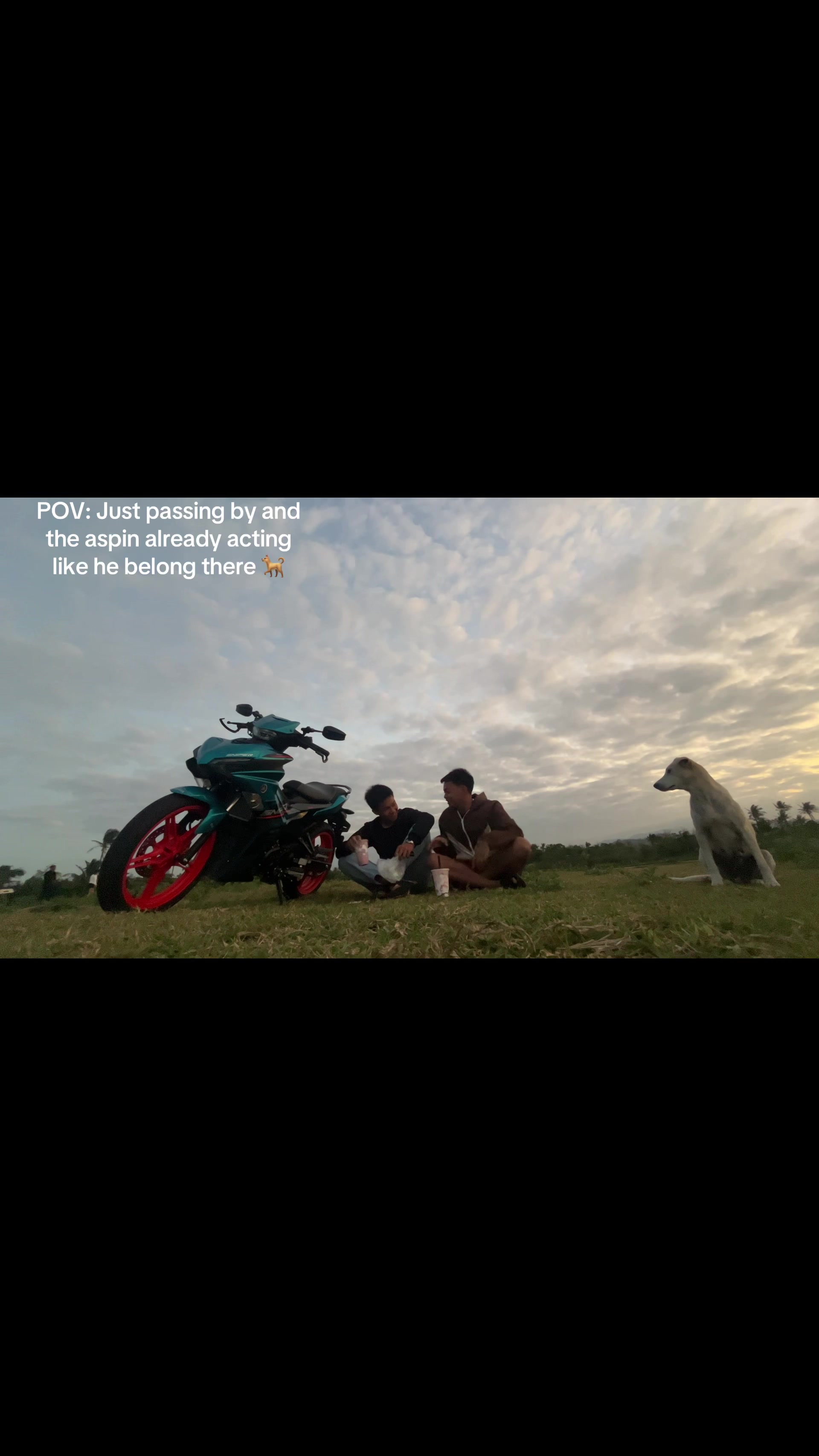 @Yaoweng Dabalos