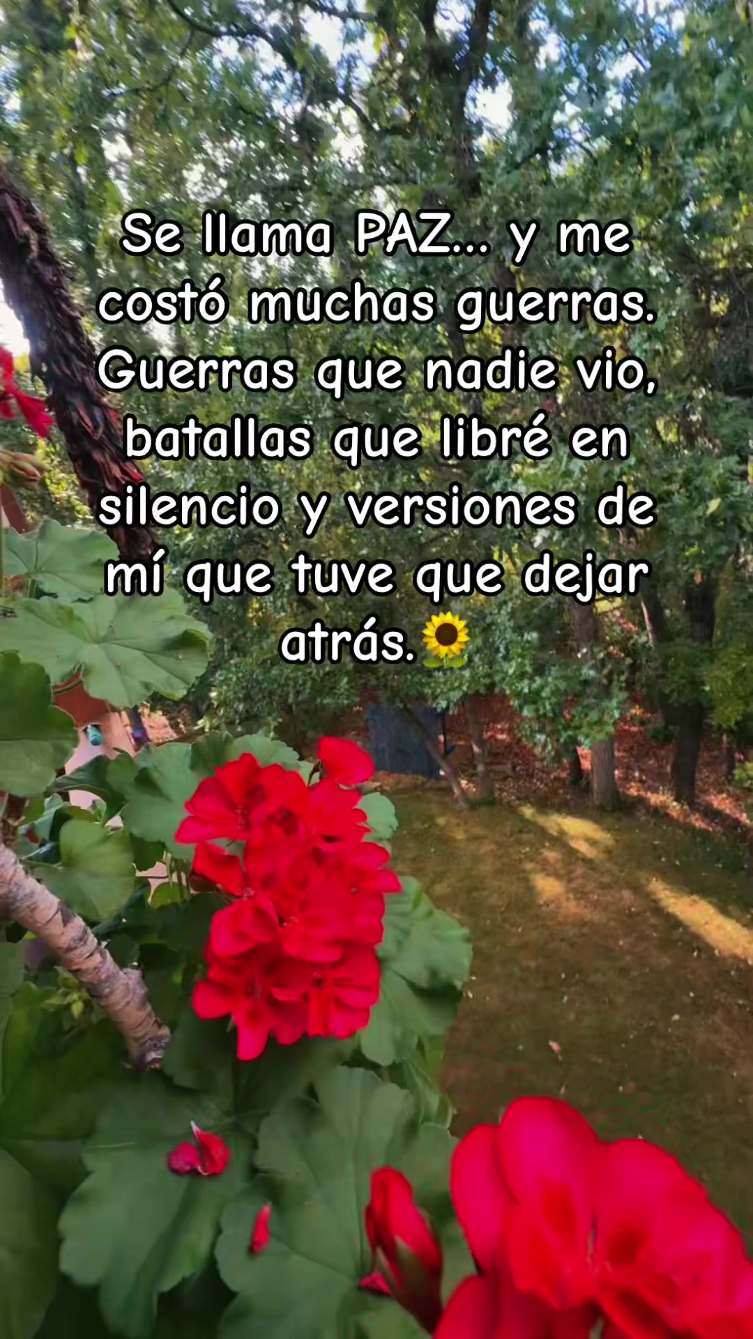 @🍑Iveth 🇭🇳 🇬🇹🇺🇸🇨🇦🇦🇷