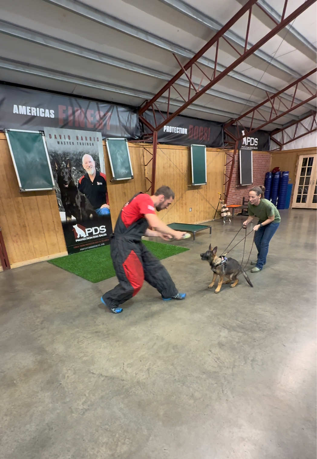 @Protection Dog Sales