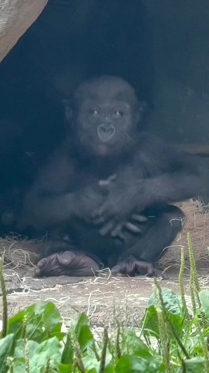 @Cincinnati Zoo