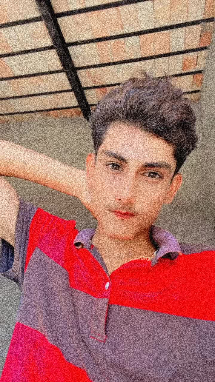 @🌱🌿شانی مہر ☘️🍃🌻