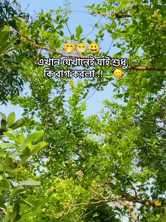 @md Sofik1234