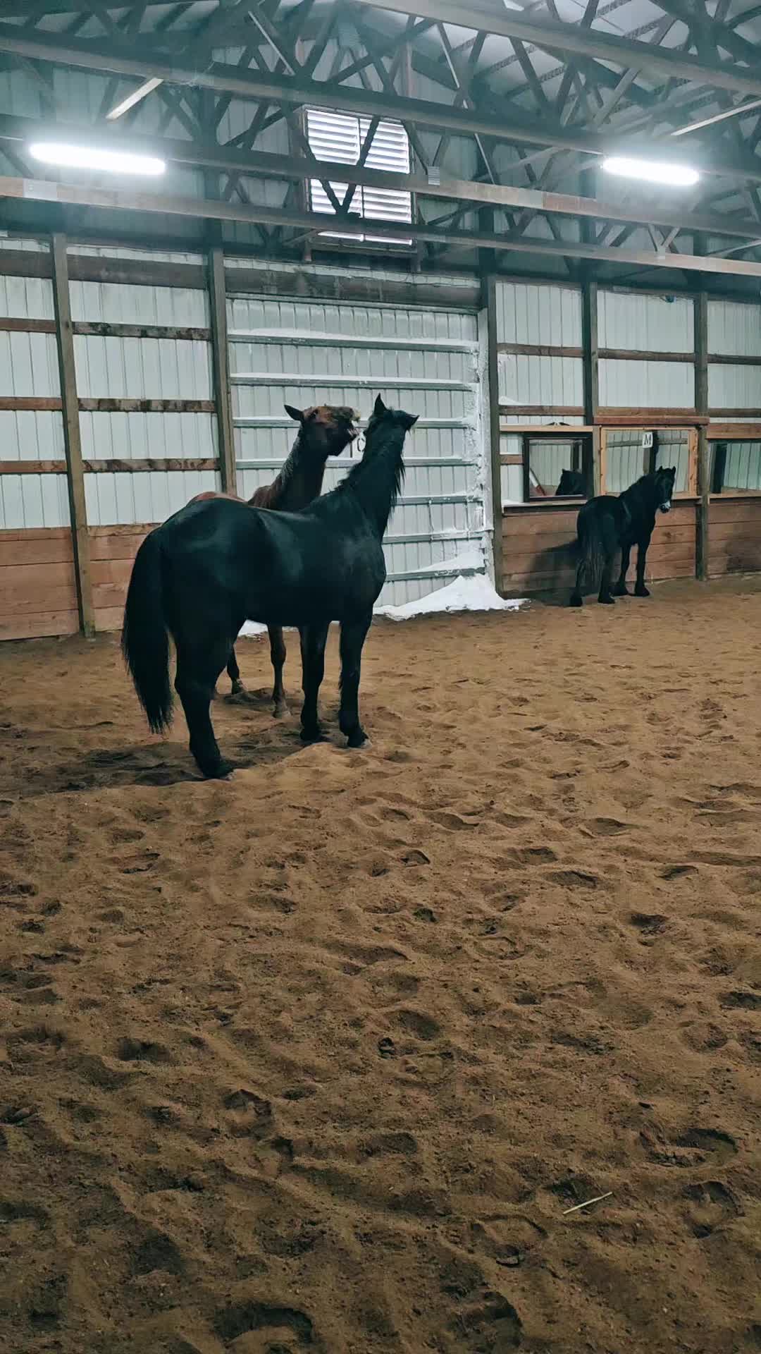 @Kismet Farm Crew