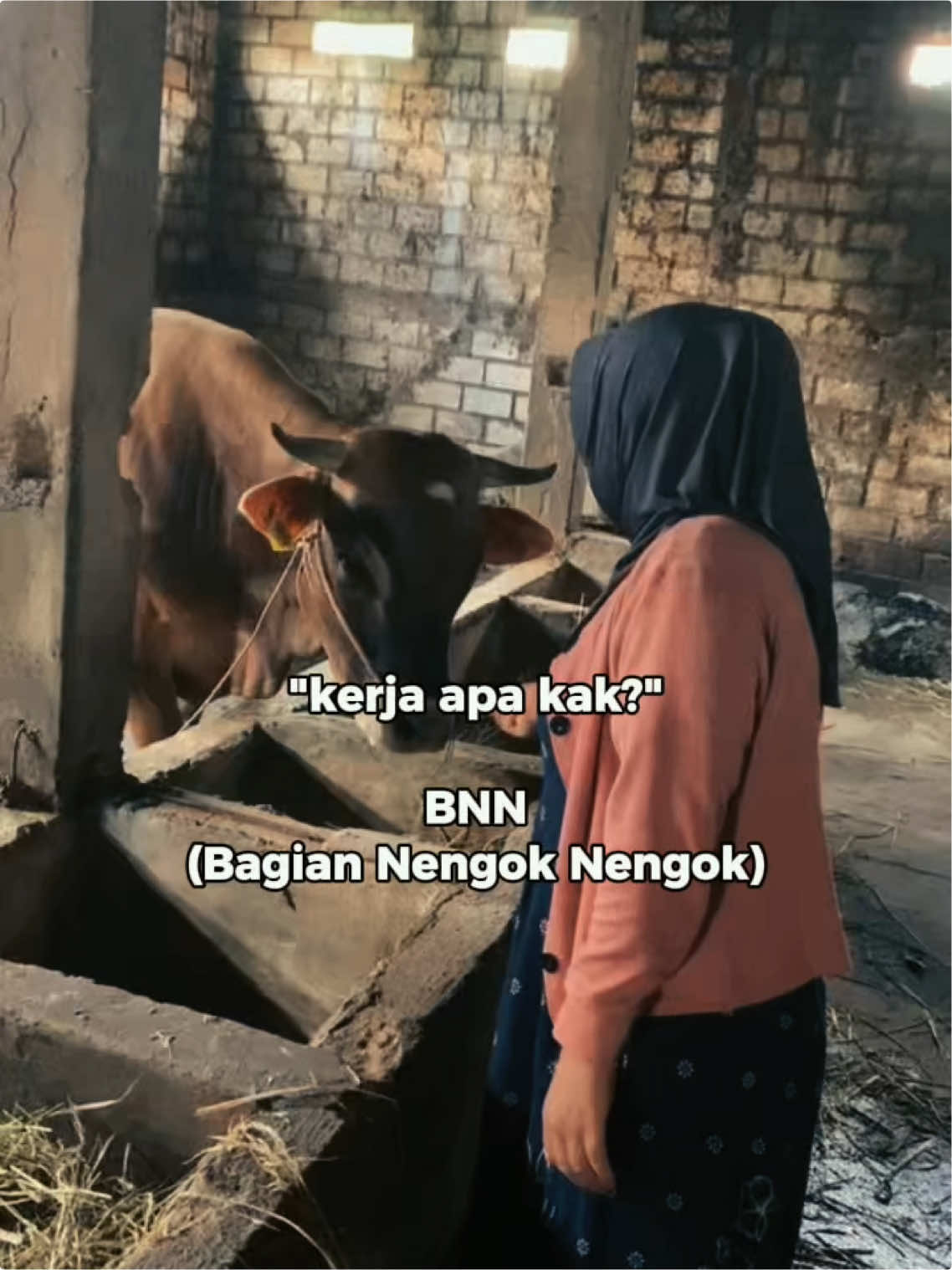 @Anissa Herdian