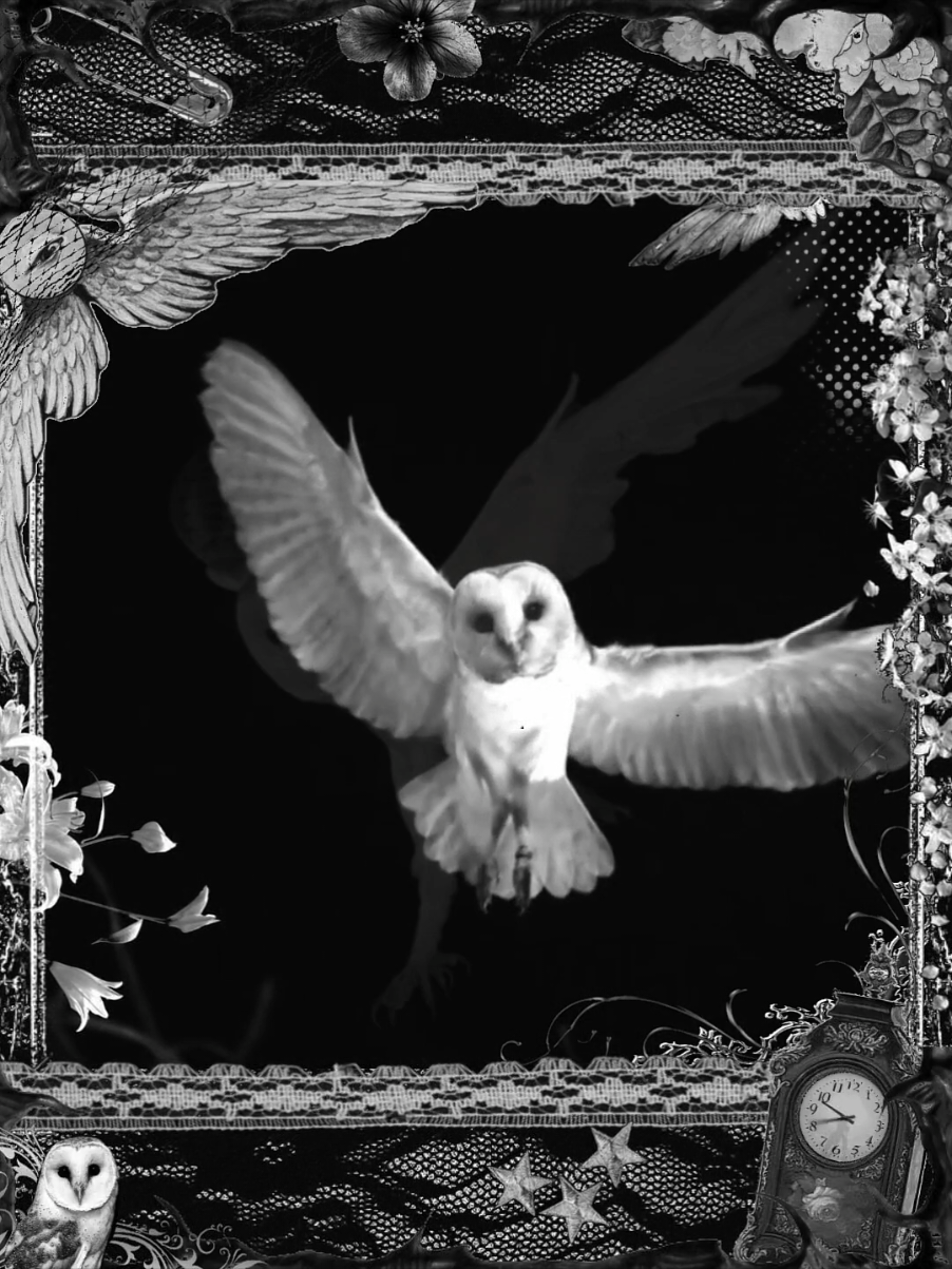 @🎸