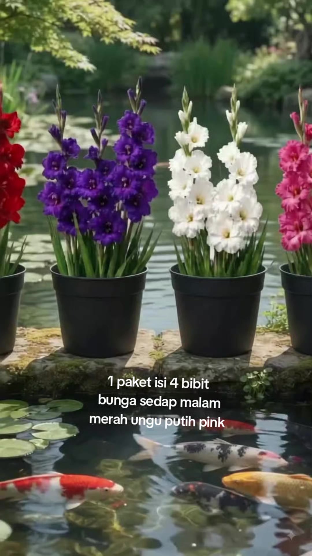 @NUNUNG INSANI
