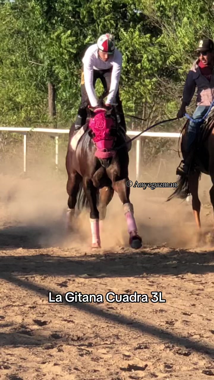 @Anye guzman🏇🏻