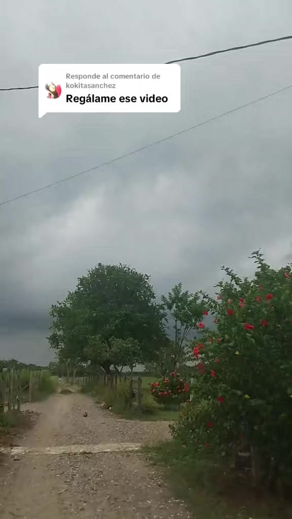@Mar Yamara