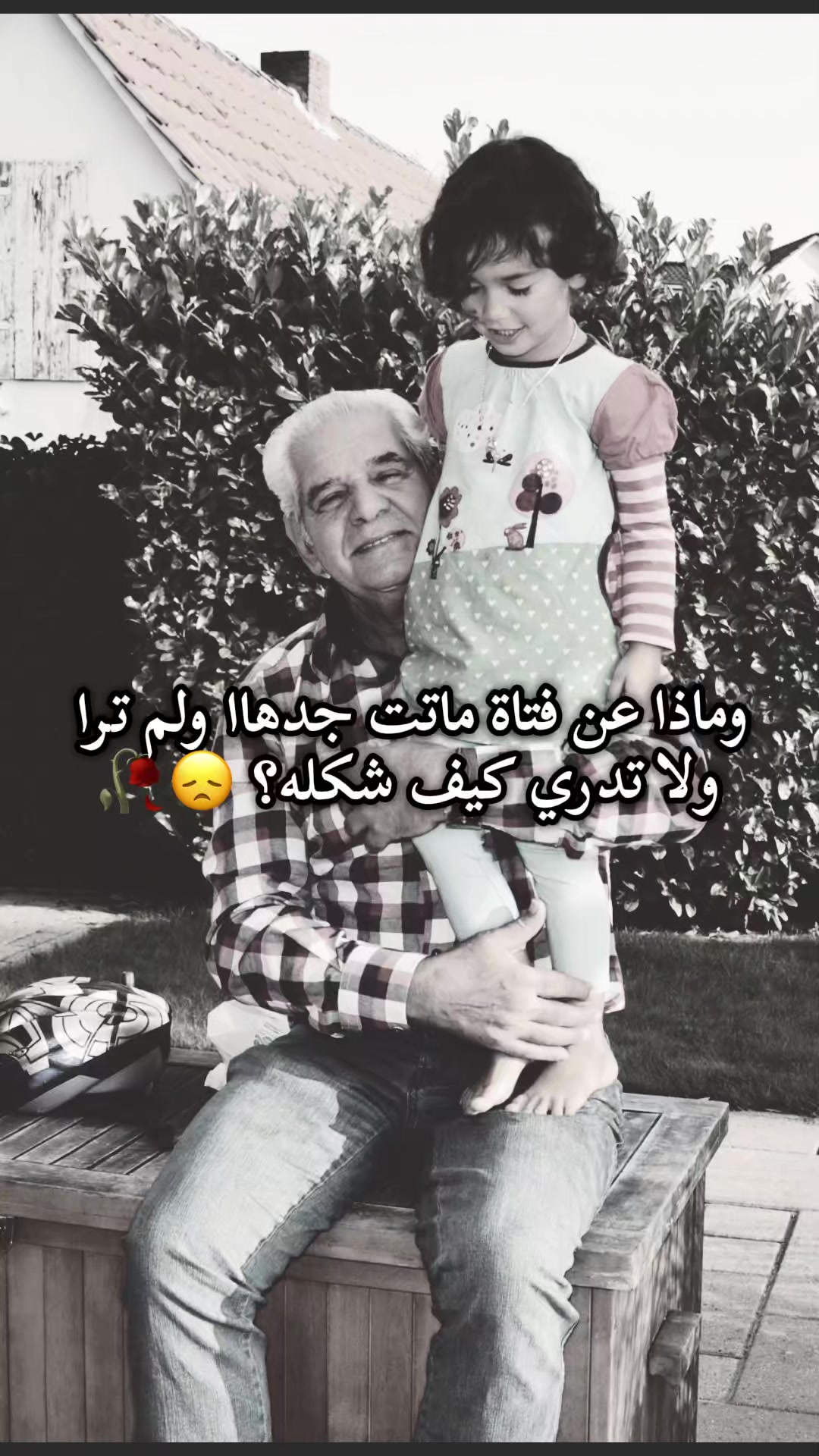 @أميرتي تيلين🎀🧸