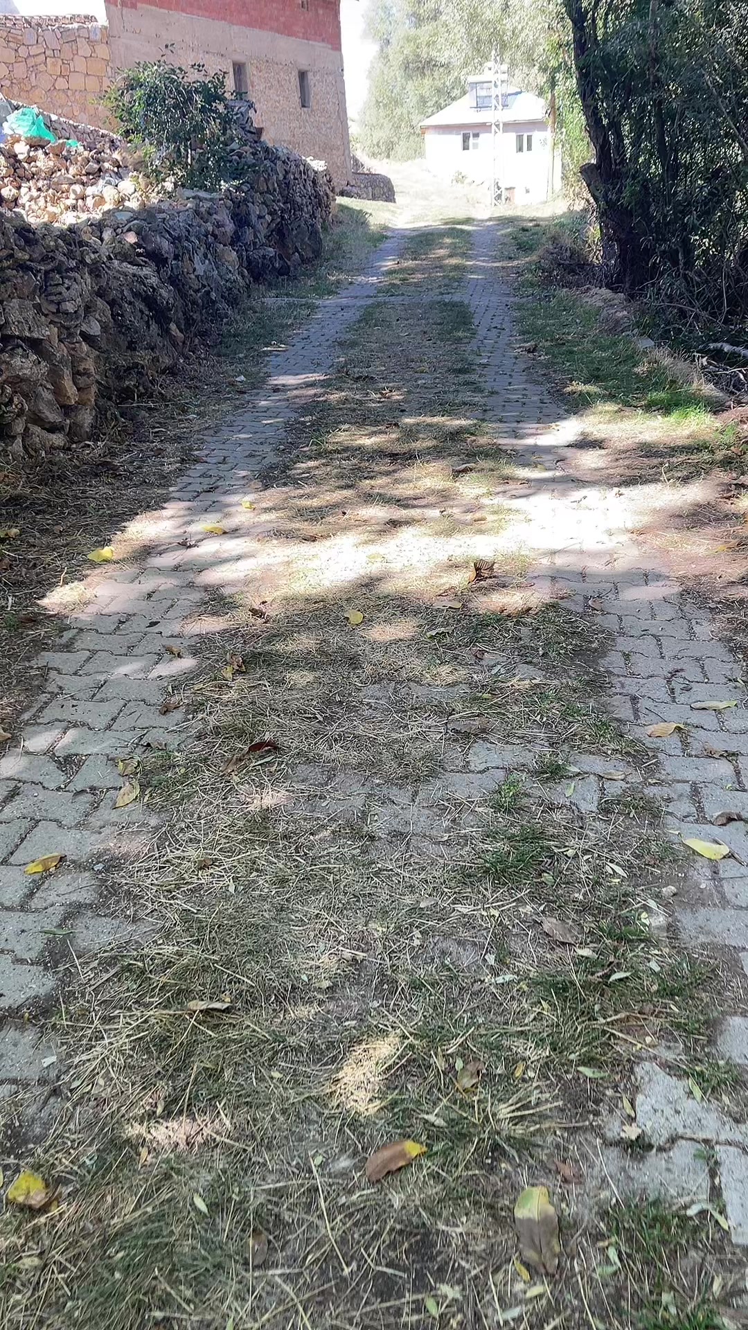 @Aslan Sarız’lı Avşar oğlu