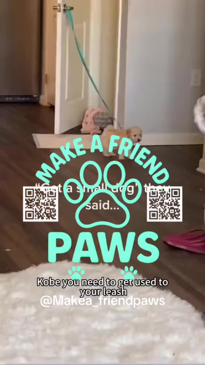 @MAKE A FRIEND PAWS 🐾