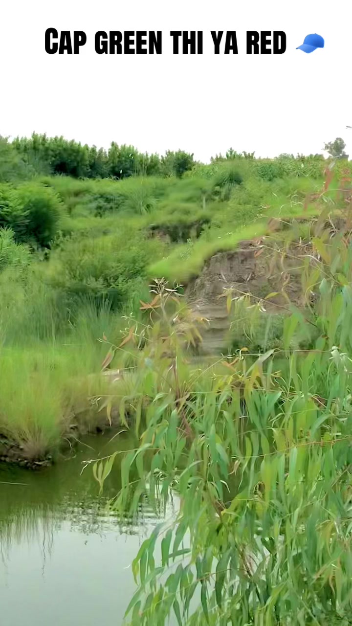 @𝐀𝐌𓄀