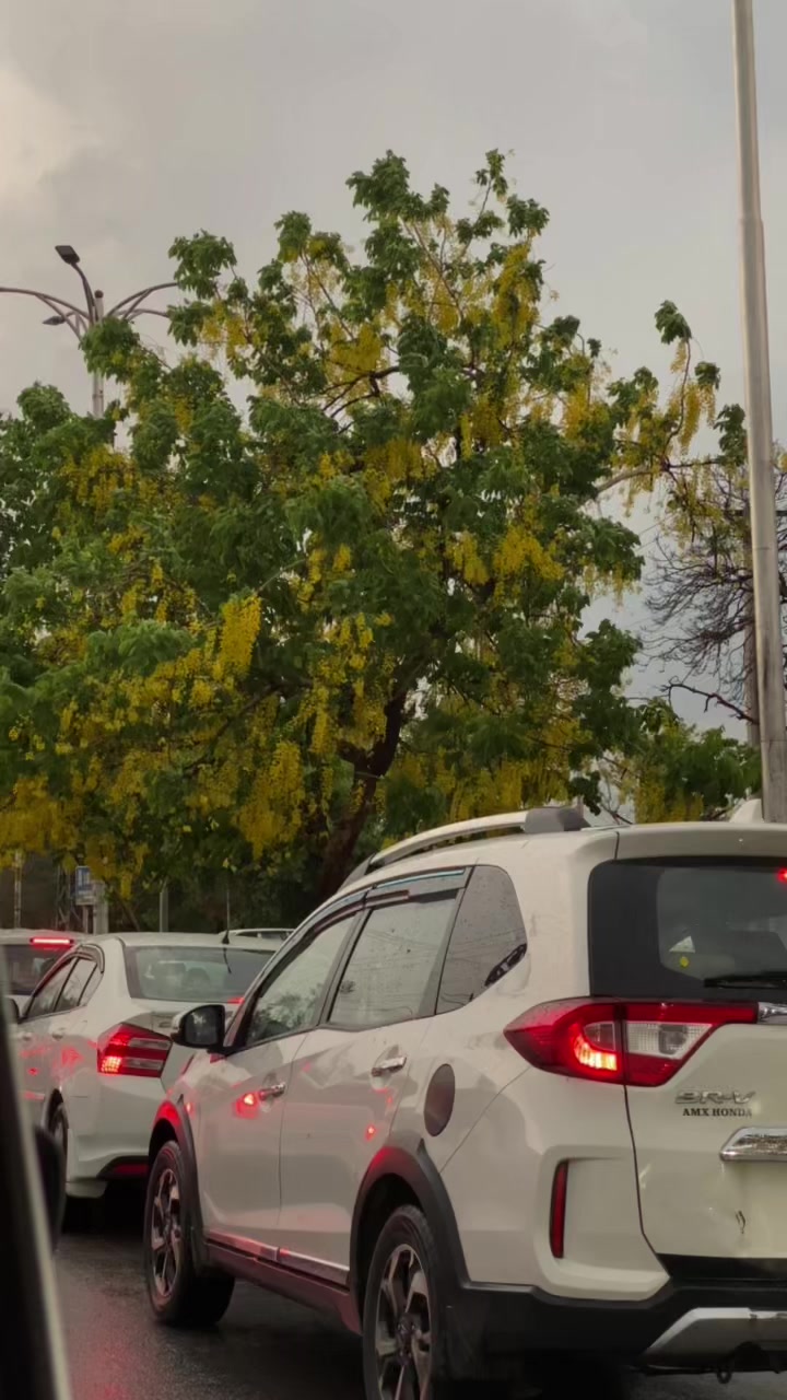 @kysa118