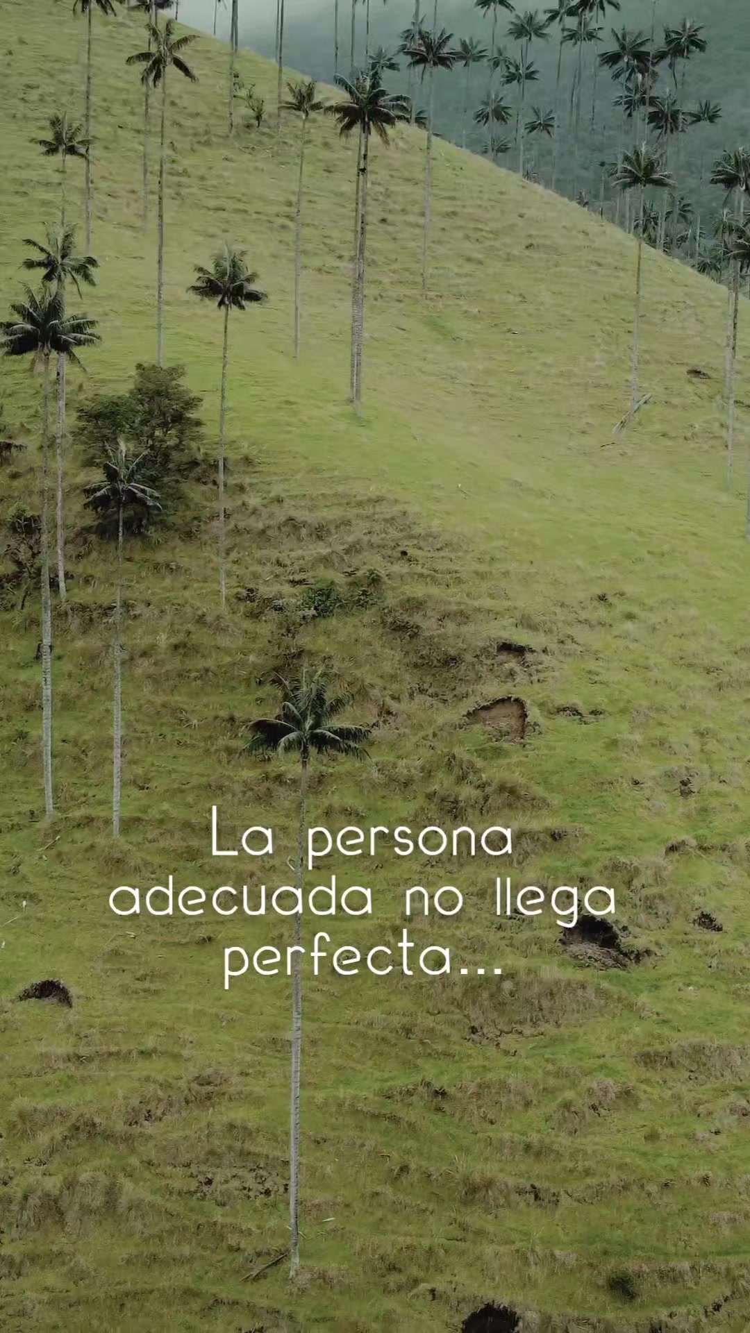 @AnaCe S Gonzales