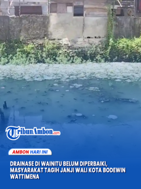 @TribunAmbon.com