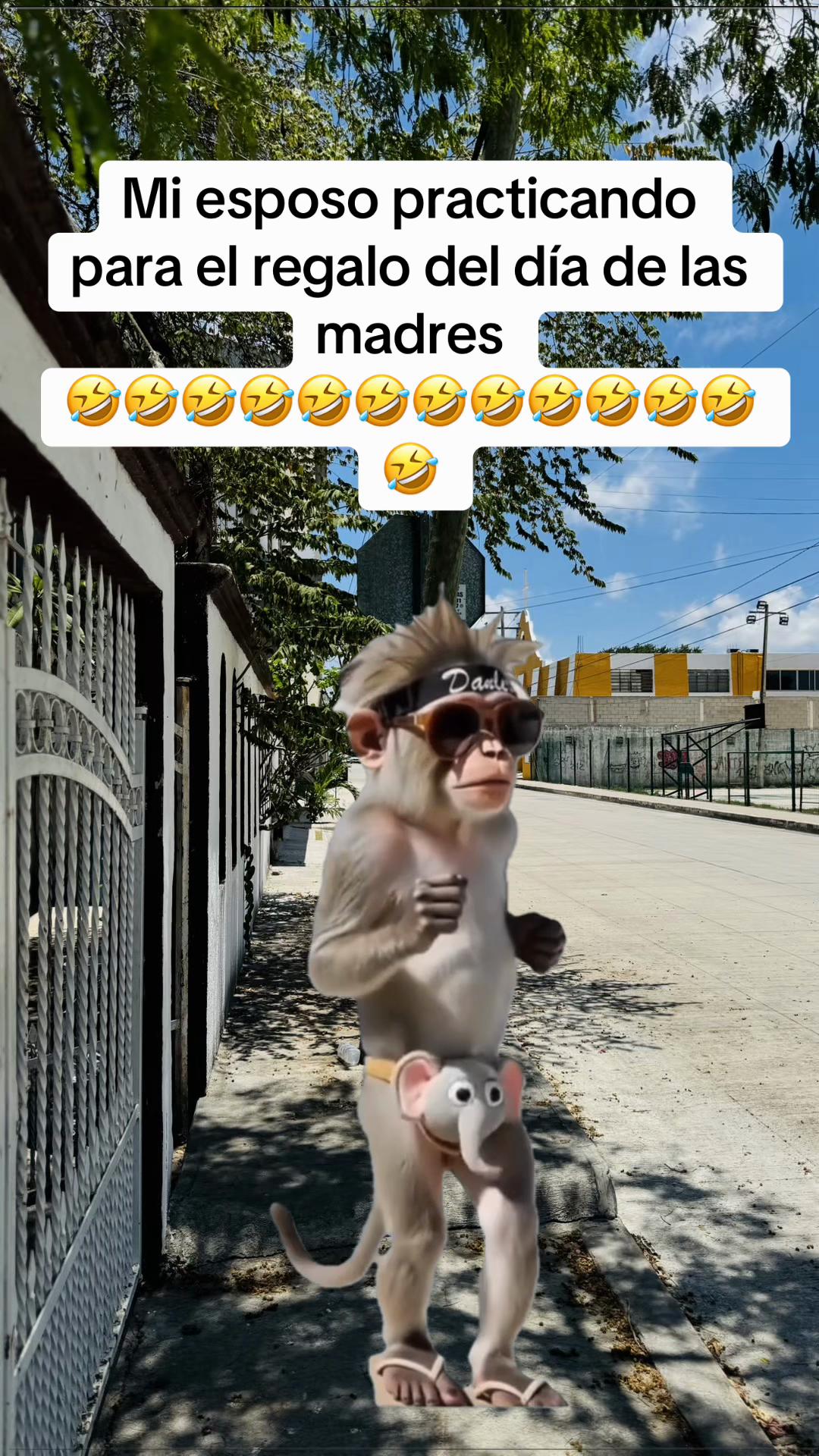 @Naensy