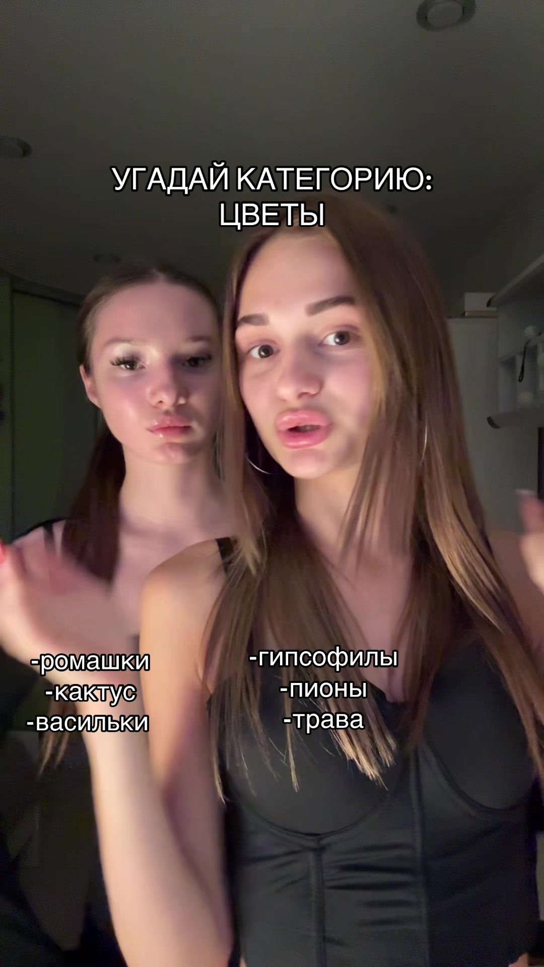 @мдпкав алиша