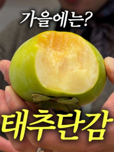 @해운대송사장