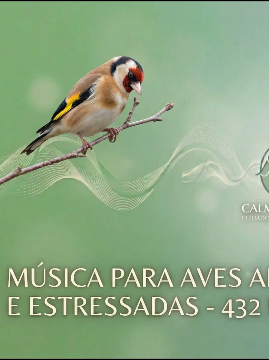 @Flavio Nunes Nexialista