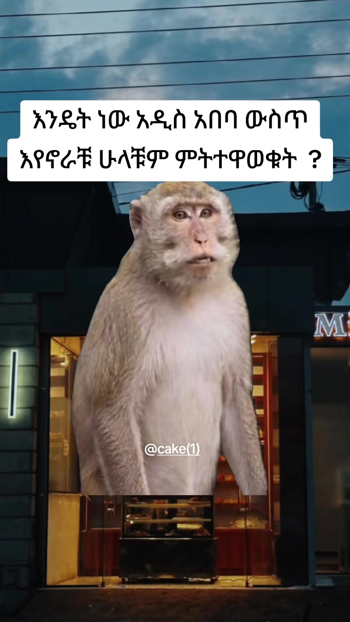 @cake(1)