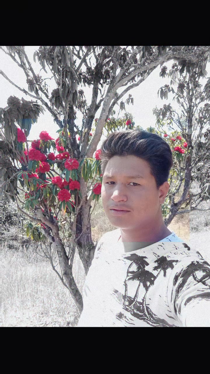@Bishal Kumar