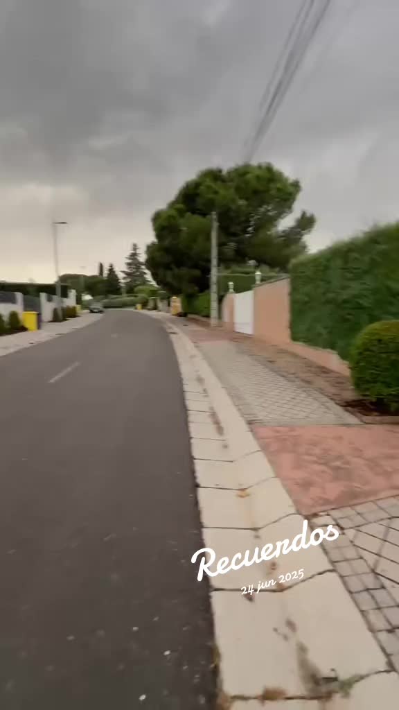 @tutoraleidy