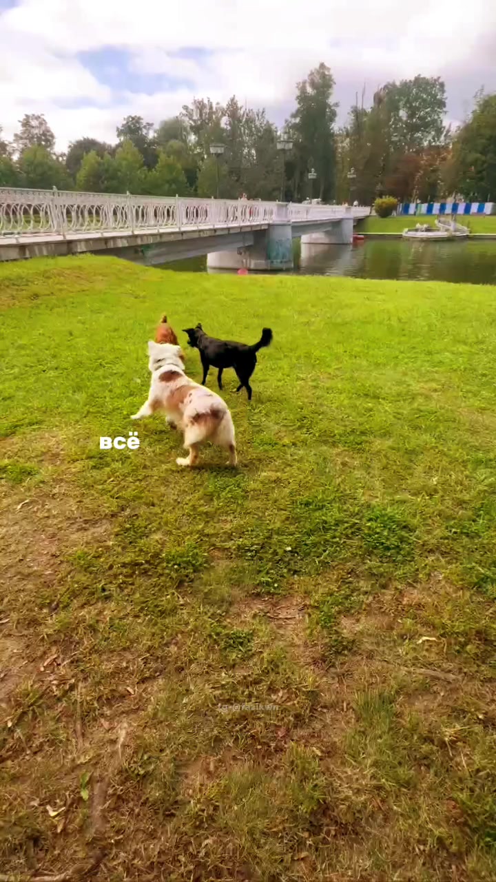 @𝙏𝙚𝙮𝙖🥏🦦