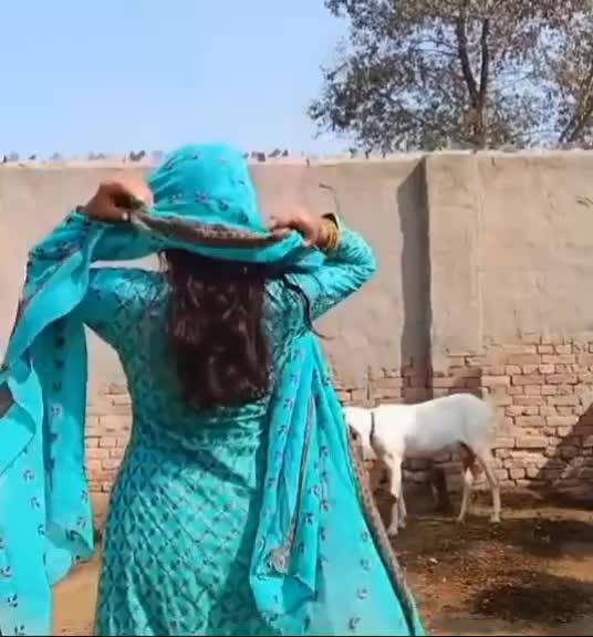 @Ayesha Khan