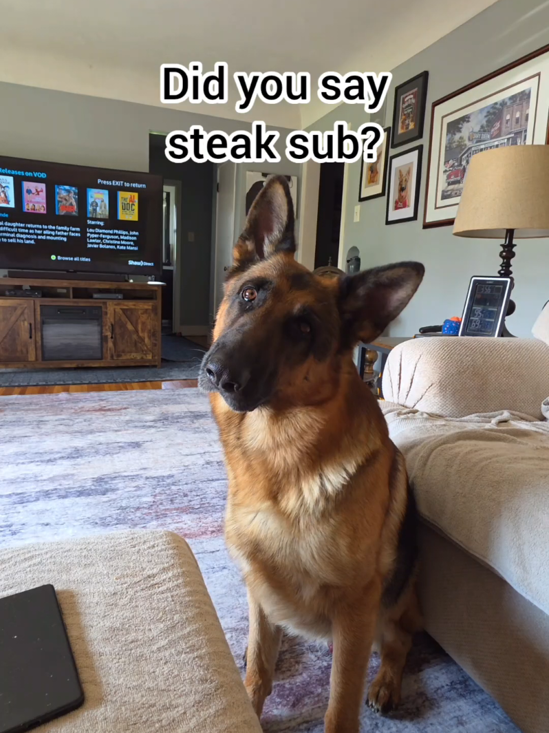 @BuddyandMikes Pal