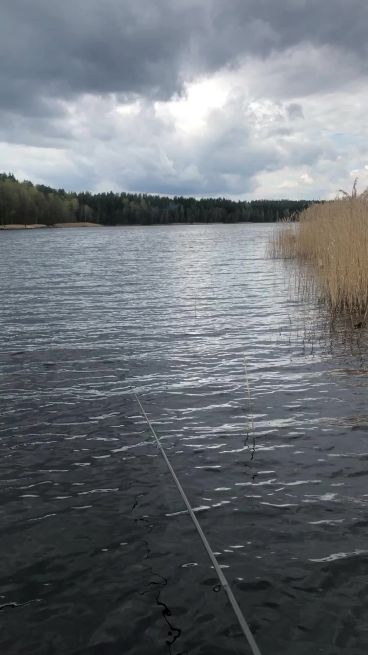 @Александр (Шурик)
