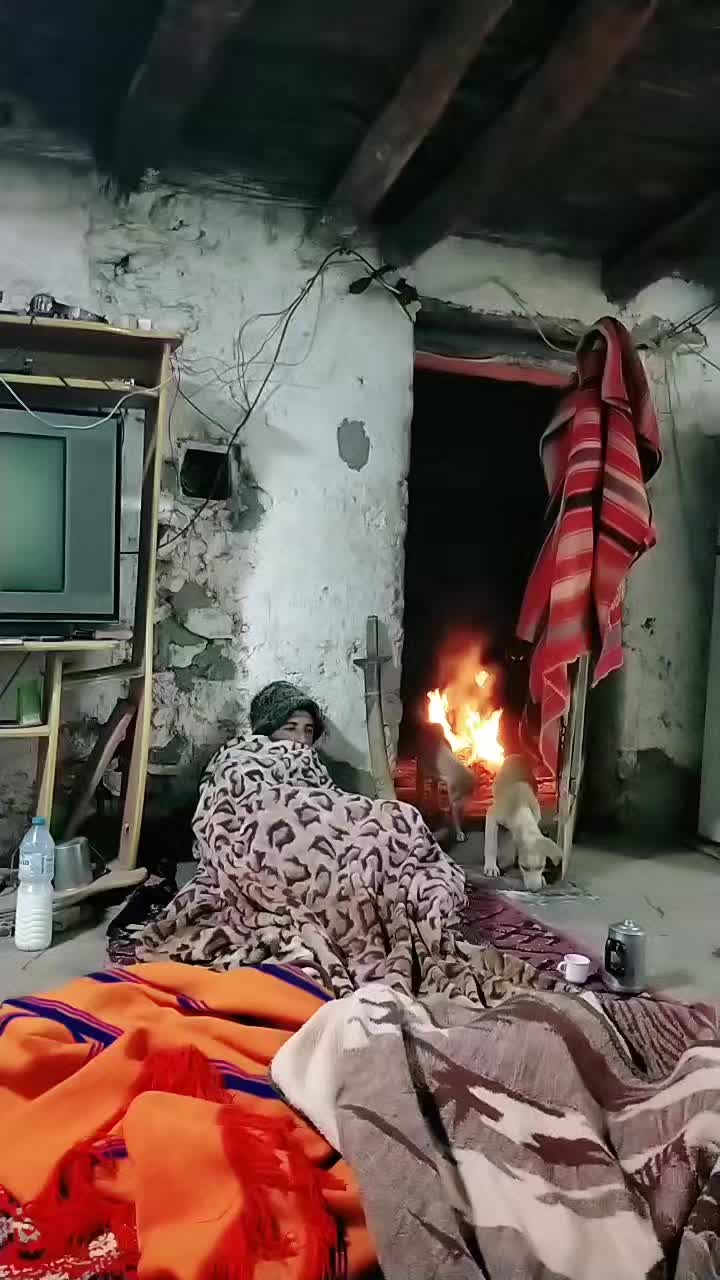 @ايوب جونيمار