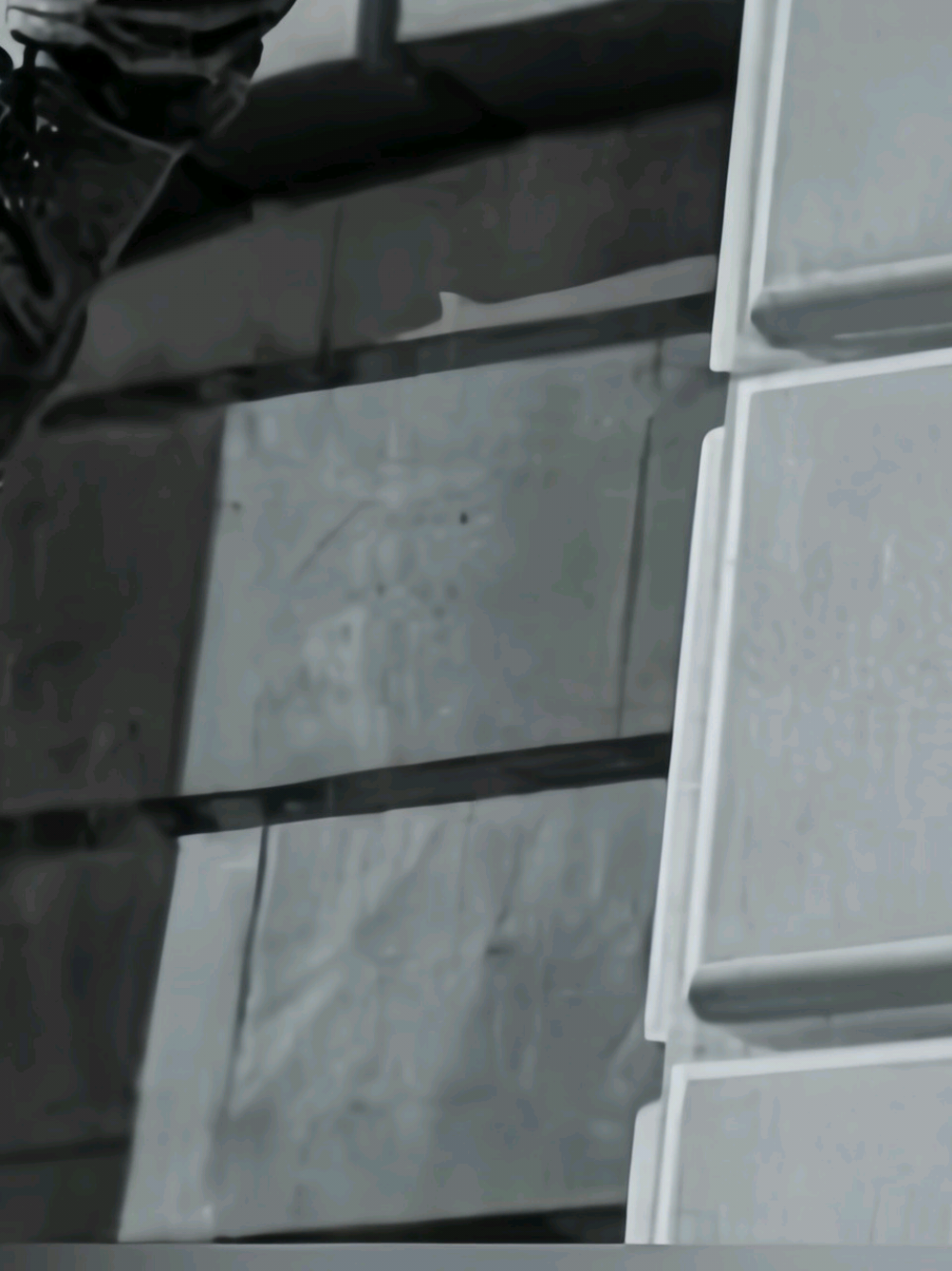 @𝐑𝐞𝐧𝐳𝐨.