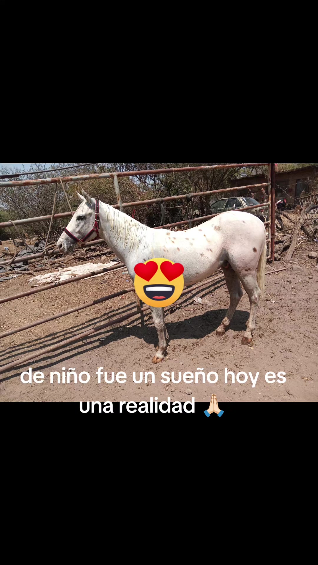 @neneR.L