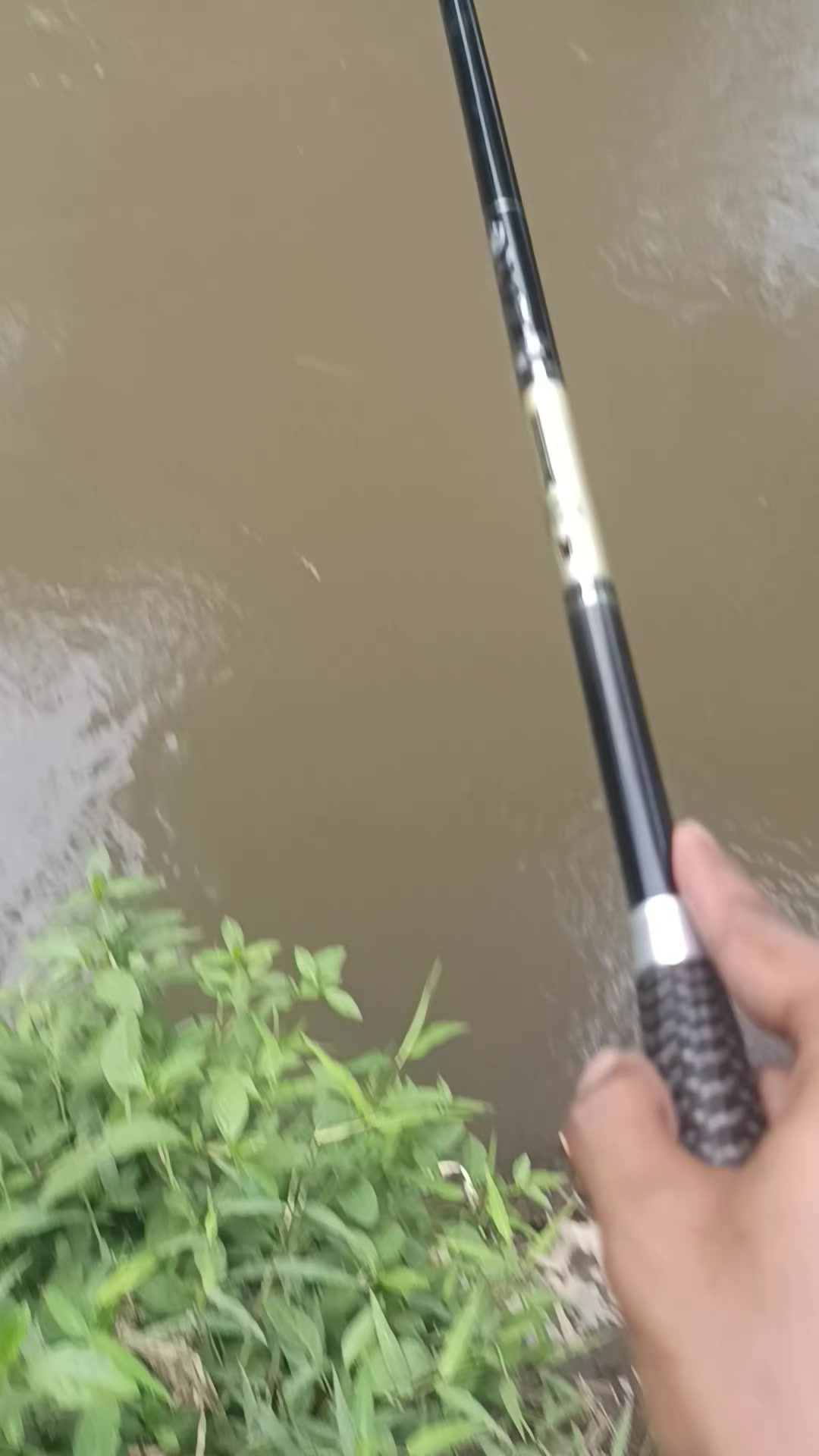 @orupnaselfishing