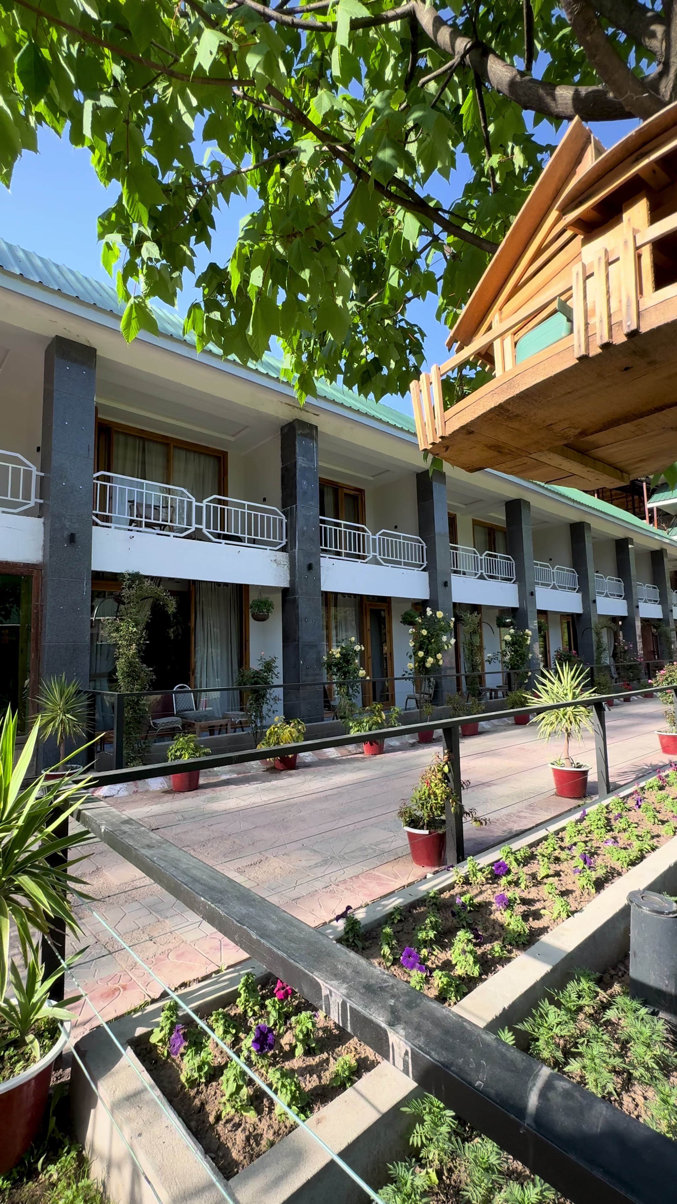 @Shogran Vibes